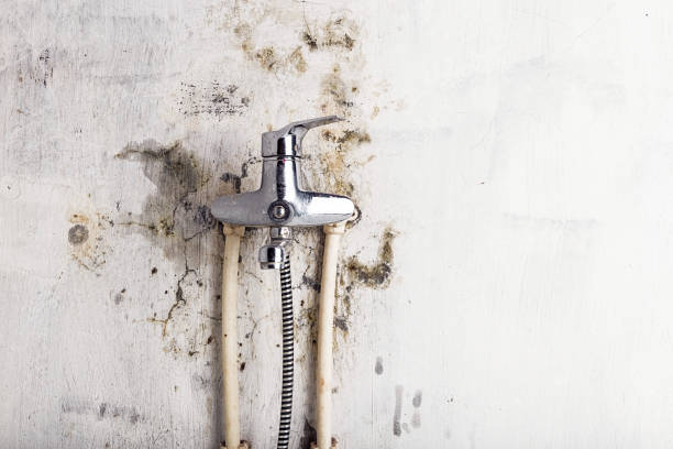 Floris, VA Mold Remediation Company