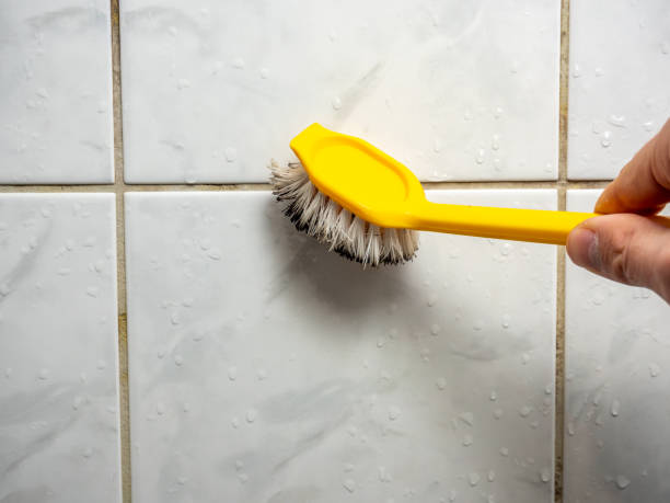 Best Preventive Mold Services in Floris, VA