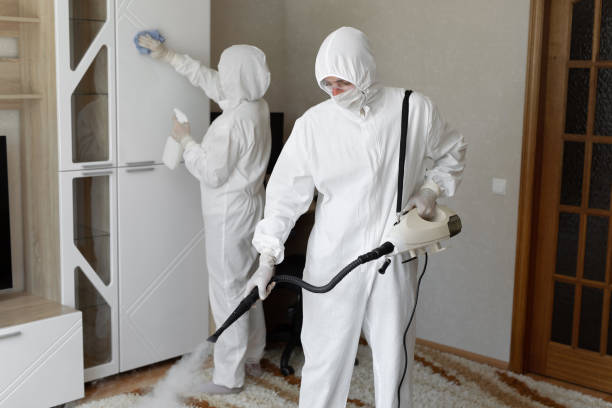 Best Health and Safety Mold Remediation in Floris, VA